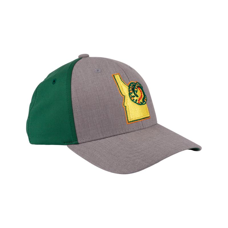 BOISE HAWKS FLINT FLEX FIT HAT