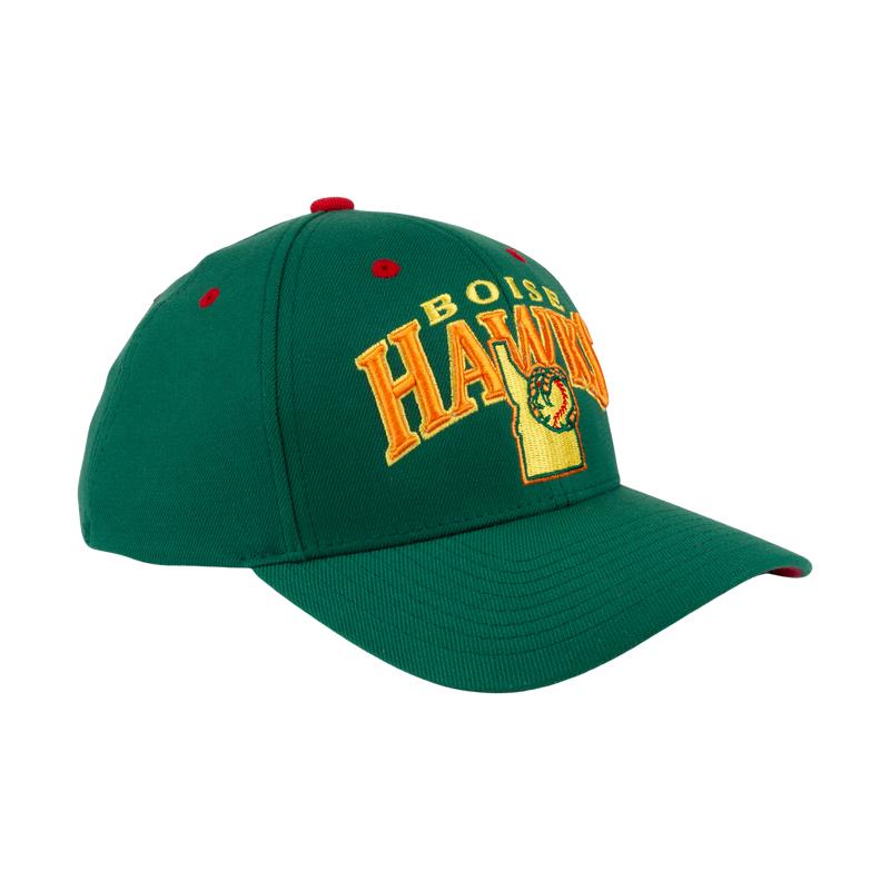 BOISE HAWKS PICKLE FLEX FIT HAT