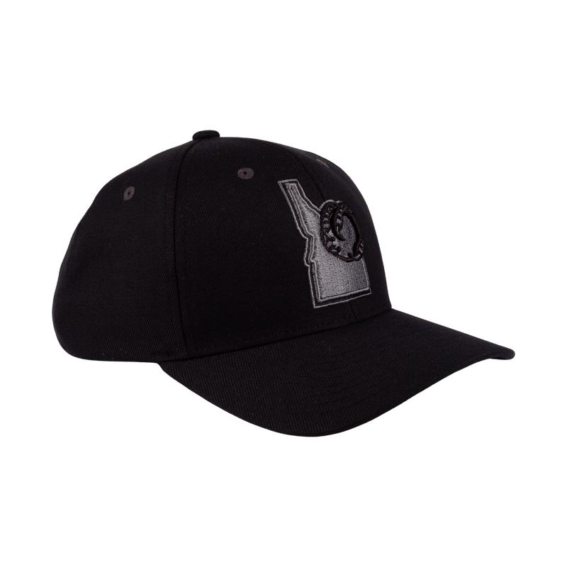 BOISE HAWKS STATE LOGO BLACK OUT FLEX FIT HAT