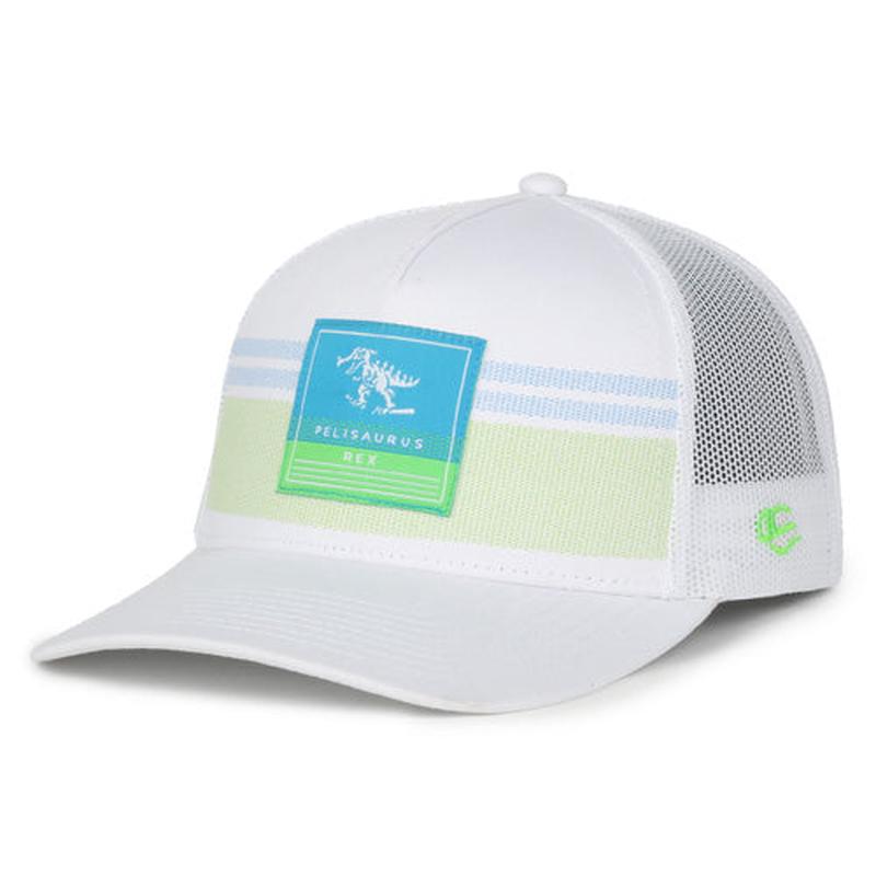 Myrtle Beach Pelicans Outdoor Cap Youth White Ace Pelisaurus Rex Snapback Cap