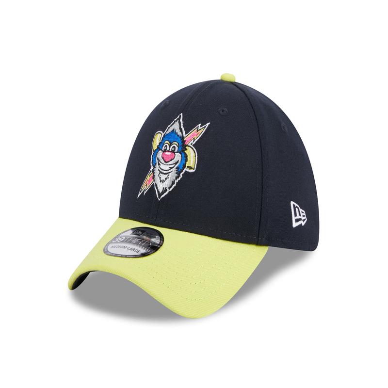 Scranton Wilke's-Barre RailRiders Marvels Defenders of the Diamond 39ThirtyCap