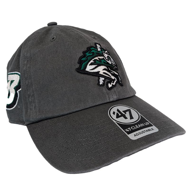 Binghamton Rumble Ponies X Binghamton Bearcats Sure Shot Clean Up Hat