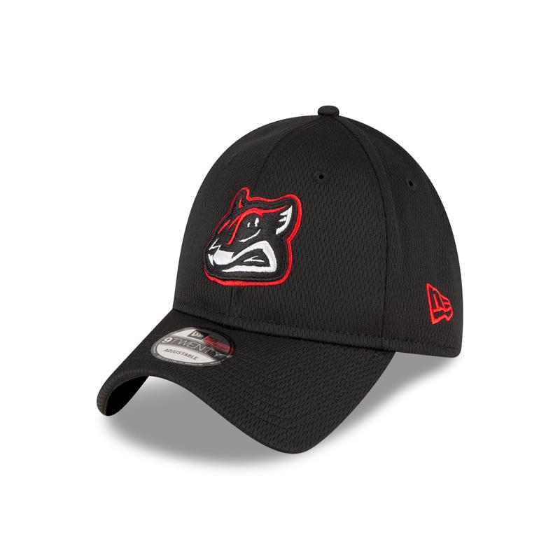 Richmond Flying Squirrels New Era BP 9Twenty