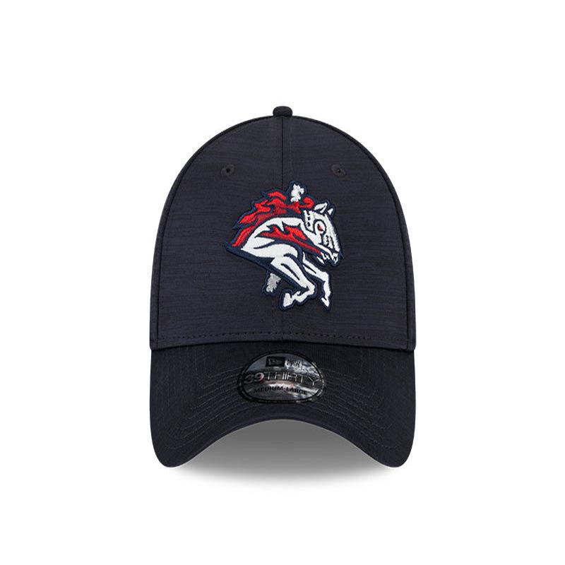 BRP New Era 39THIRTY Classic Flex Fit Home With Carousel Horse Logo