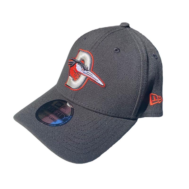 Delmarva Shorebirds New Era 39THIRTY Stretch Road Logo Cap