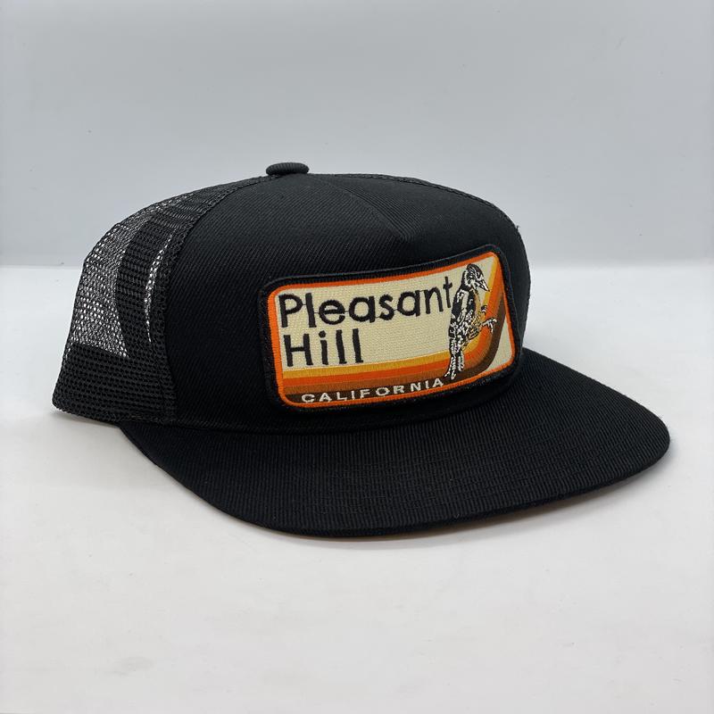 Pleasant Hill Pocket Hat (bird)