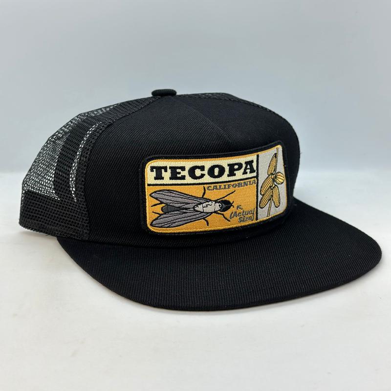 Tecopa Pocket Hat (Updated 2025)